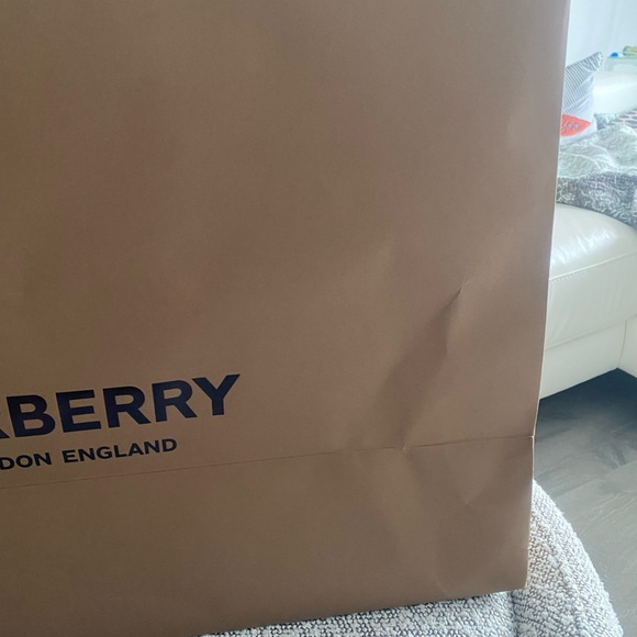 Large Burberry Paper Bag - Picture 3 of 3